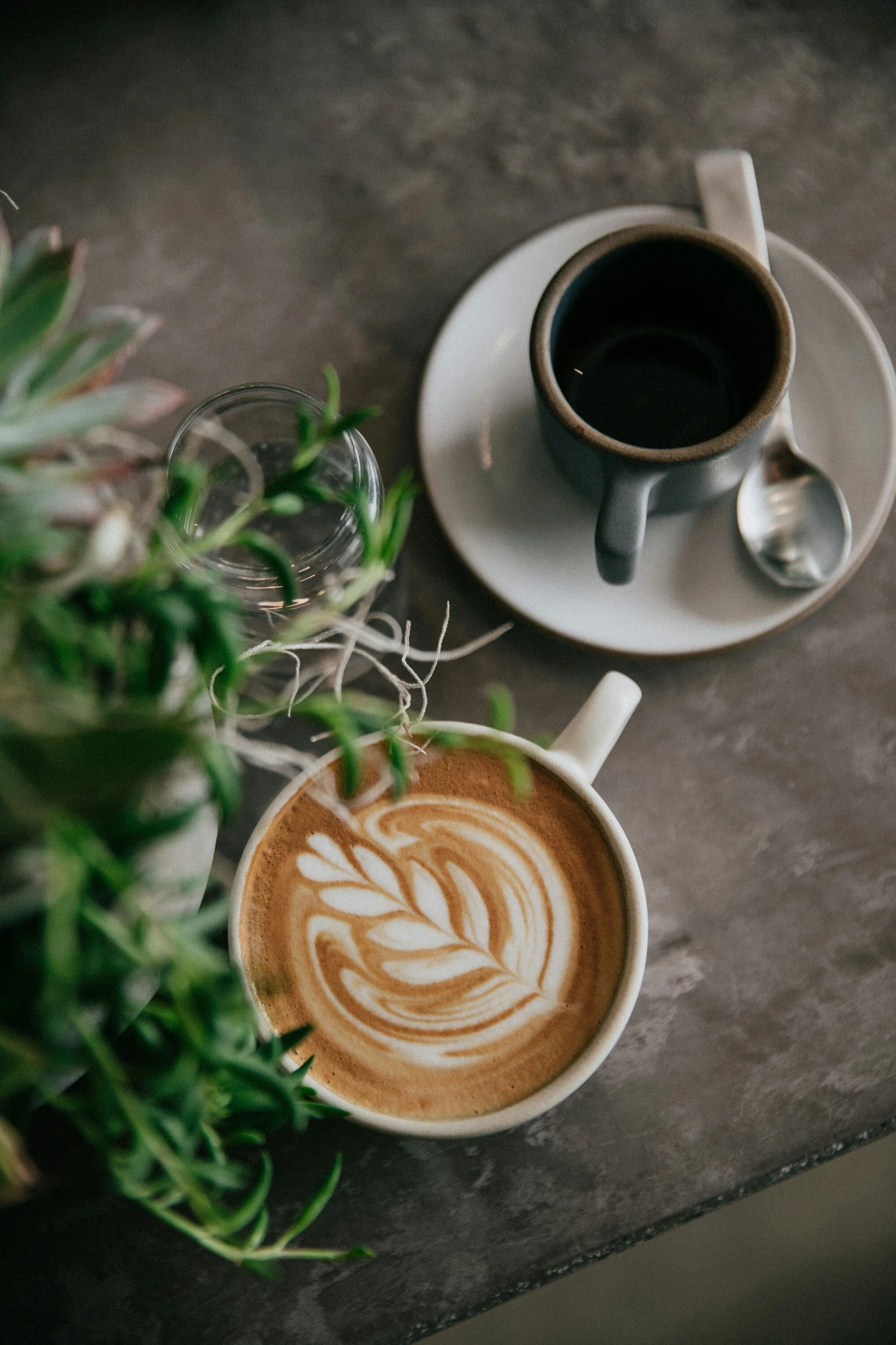 Cafés et thés offerts par nos partenaires sur poupounne.com